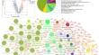Differential Gene Analysis of Langerhans Cell Histiocytosis and the Significance of MMP1-Targeted Drug Repositioning.