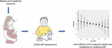 Associations between maternal exposure to multiple metals and metalloids and blood pressure in preschool children: A mixture-based approach