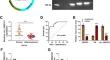 Circ_0002331 Interacts with ELAVL1 to Improve ox-LDL-Induced Vascular Endothelial Cell Dysfunction via Regulating CCND2 mRNA Stability.