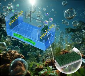 A universal strategy to synthesize amorphous/crystalline P, Mo dual-doped CoNiS nanostructures for overall water splitting