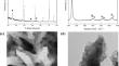 Surface Anion Effects in Aqueous Hydrogen Ion Batteries