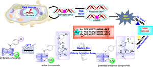 Design and synthesis of N-aryl-2-trifluoromethyl-quinazoline-4-amine derivatives as potential Werner-dependent antiproliferative agents