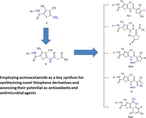 Employing acetoacetamide as a key synthon for synthesizing novel thiophene derivatives and assessing their potential as antioxidants and antimicrobial agents