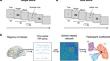 Age-related decline in cognitive flexibility and inadequate preparation: evidence from task-state network analysis.