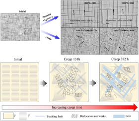 Exploring the evolution of microstructure and mechanical property of a γʹ-strengthened Co-based single crystal superalloy during creep and thermal exposure at 1000 ℃