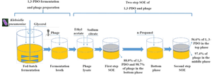 Co-production of 1,3-propanediol and phage phiKpS2 from the glycerol fermentation by Klebsiella pneumoniae.