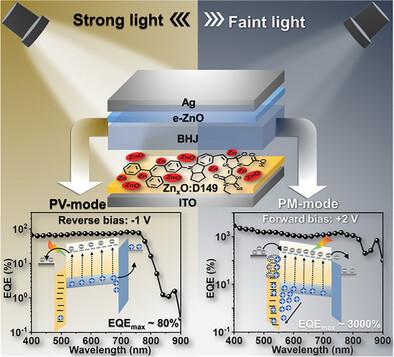 Bias-Switchable Dual-Mode Organic Photodiodes Enabled by Manipulation of Interface Layers