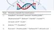 Monomeric compounds from natural products for the treatment of pulmonary fibrosis: a review.