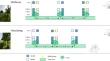 Performance of a winter wheat composite cross population in two temperate agroforestry systems – a Swiss case study