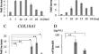 The role of semaphorin 3A on chondrogenic differentiation.