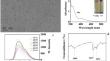 Fabrication of Carbon Dots with Singlet Oxygen Generation and Their Potential Photodynamic Therapy Applications.