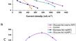 Marine Photosynthetic Microbial Fuel Cell for Circular Renewable Power Production