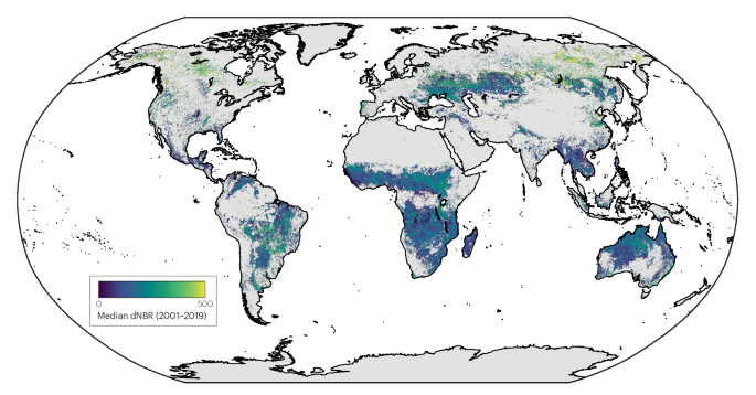 Molecular insights and impacts of wildfire-induced soil chemical changes