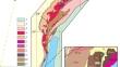 Division of the Early Proterozoic Khargitui Formation of the Sarma Group (Akitkan Orogenic Belt, Siberian Craton) into Different Age Sequences Based on the Results of U–Pb Isotopic Analysis of Zircon