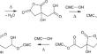 Optimization of Water-Insoluble Carboxymethyl Cellulose Foam for Wound Dressing Materials