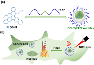 A novel water-soluble quinoxalino[2,3-a] phenazine-based organic NIR photothermal agent for cancer phototherapy application