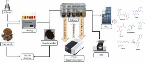 Effect of different extraction solvents on bioactive phenolics and antioxidant potential of Illicium griffithii fruit