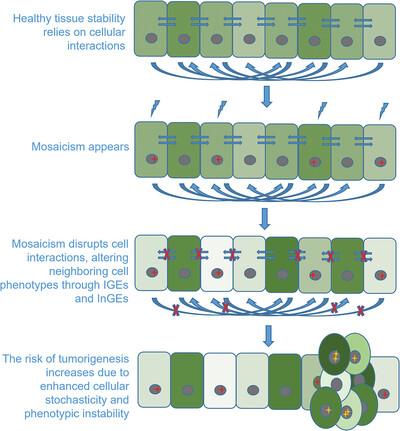 From genetic mosaicism to tumorigenesis through indirect genetic effects