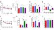 Dysregulation of the Gut Microbiota Contributes to Sevoflurane-Induced Cognitive Dysfunction in Aged Mice by Activating the NLRP3 Inflammasome.