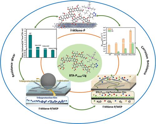 BTA-P4444-Lig-Functionalized MXene to Prepare Anticorrosion and Wear-Resistant Integrated Waterborne Epoxy Composite Coating