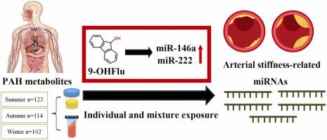 Polycyclic aromatic hydrocarbons exposure and arterial stiffness-related plasma miRNAs: A panel study