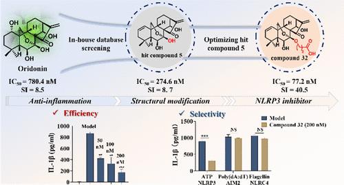 Hit-to-Lead Optimization of the Natural Product Oridonin as Novel NLRP3 Inflammasome Inhibitors with Potent Anti-Inflammation Activity