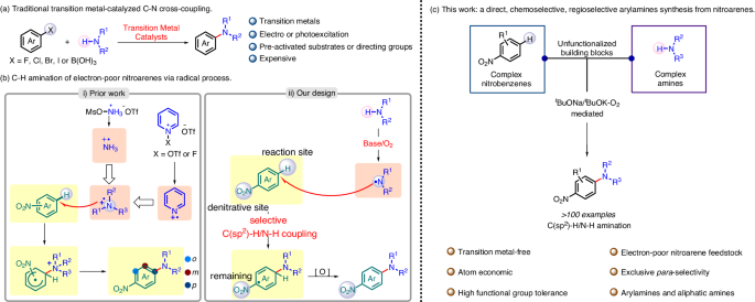 Para-selective nitrobenzene amination lead by C(sp2)-H/N-H oxidative cross-coupling through aminyl radical