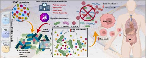 Biocompatible plasma-treated liquids: A sustainable approach for decontaminating gastrointestinal-infection causing pathogens.