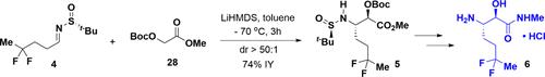 Early Kilogram Scale Delivery of MK-7845 as a Potential COVID-19 Therapy: Rapid Process Development of Key Intermediates