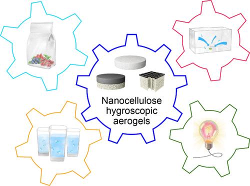 Nanocellulose Building Block for the Construction of Hygroscopic Aerogels