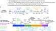 Identification of high-performing antibodies for the reliable detection of Tau proteoforms by Western blotting and immunohistochemistry