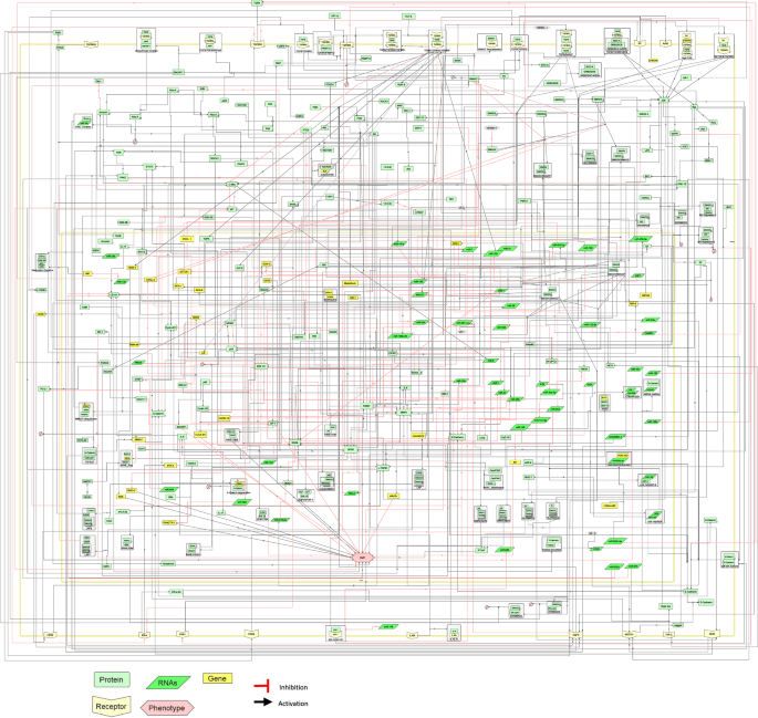 Comprehensive molecular interaction map of TGFβ induced epithelial to mesenchymal transition in breast cancer.