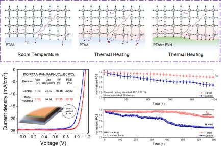 Improving Thermal Stability of Perovskite Solar Cells by Suppressing Ion Migration