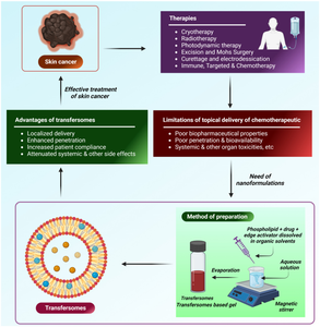 Unravelling the success of transferosomes against skin cancer: Journey so far and road ahead.