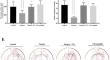 C8-ceramide modulates microglia BDNF expression to alleviate postoperative cognition dysfunction via PKCδ/NF-κB signaling pathway.