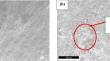 Microstructure, High-Temperature Wear, and Corrosion Behaviors of UNS R56320-xWC Composite Fabricated through Powder Metallurgy