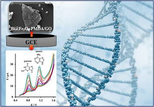 Simultaneous Electro-Sensing of Guanine and Adenine on GO/Fe3O4-PMDA@Bi Nanocomposite