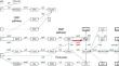 Pyruvate kinase 2 from Synechocystis sp. PCC 6803 increased substrate affinity via glucose-6-phosphate and ribose-5-phosphate for phosphoenolpyruvate consumption.