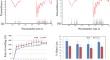 A Gelatin-Based Biomimetic Scaffold Promoting Osteogenic Differentiation of Adipose-Derived Mesenchymal Stem Cells