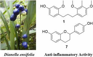 Anti-inflammatory activity of phenolics from Dianella ensifolia