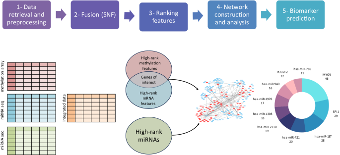 A multi-omics approach for biomarker discovery in neuroblastoma: a network-based framework