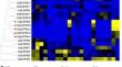 Five Beta-Expansin Genes Sharing Common Expression Patterns are Redundantly Involved in Pollen Tube Growth in Rice (Oryza sativa)