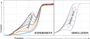 New insights into the photoassisted anodic reactions of n-type 4H SiC semiconductors