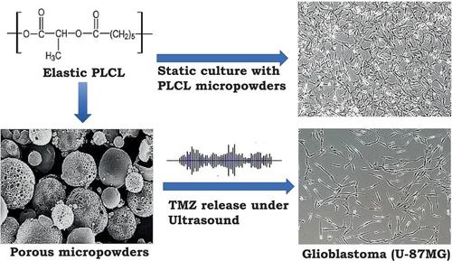 Fabrication of porous poly(L-lactide-co-ε-caprolactone) micropowder for microbubble effect and ultrasound-mediated drug delivery