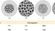 Characteristics of Open and Closed Pores, Their Measurement Techniques and Exploitation in Dehydrated Food Products