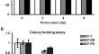 Effect of proton-beam irradiation on cell survival of MCF-7 and its chemo-resistant subgroups