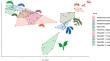 Influence of Host Plants and Tending Ants on the Cuticular Hydrocarbon Profile of a Generalist Myrmecophilous Caterpillar.