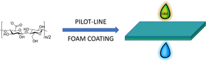 Pilot-scale foam and cast-coated nanocellulose filters for water treatment