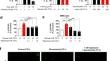 Inhibition of mTOR prevents glucotoxicity-mediated increase of SA-beta-gal, p16<sup>INK4a</sup>, and insulin hypersecretion, without restoring electrical features of mouse pancreatic islets.