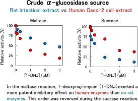 Use of human Caco-2 cells and HPAE-PAD for α-glucosidase assay